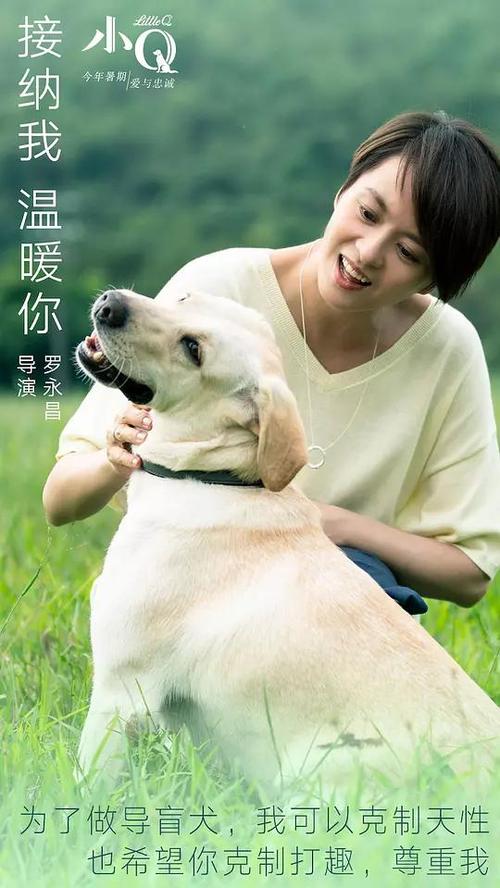 福岡歯科大学文凭